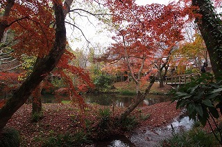 f0190020_08461862.jpg