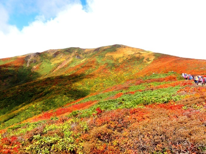 【ブログテーマ】色とりどりの紅葉&お気に入り秋ショット2018!(紅葉編)_f0357923_11174542.jpg
