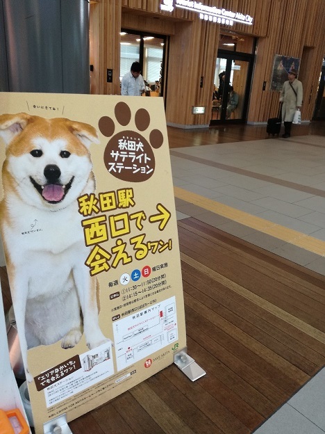 秋田犬に会いたい～_b0129725_14531638.jpg