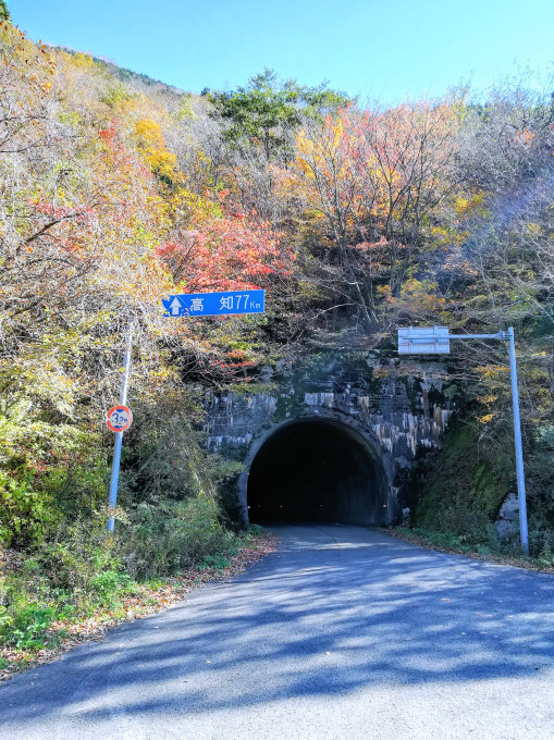 a0300435_22105855.jpg