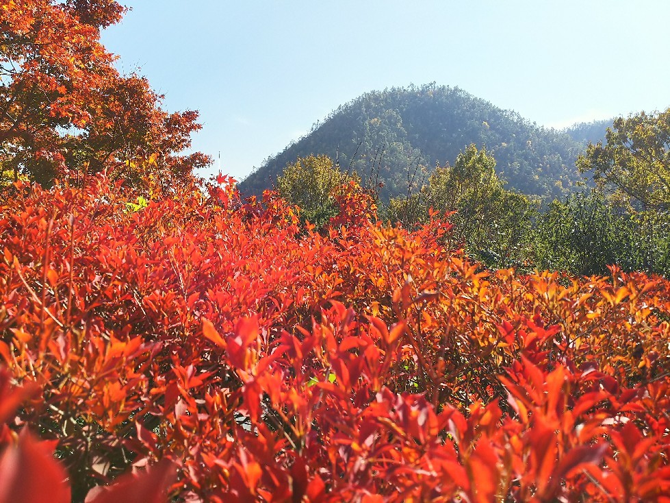 c0136736_14452989.jpg