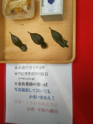 c0136736_14551714.jpg
