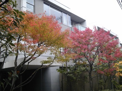 a0163738_00474886.jpg