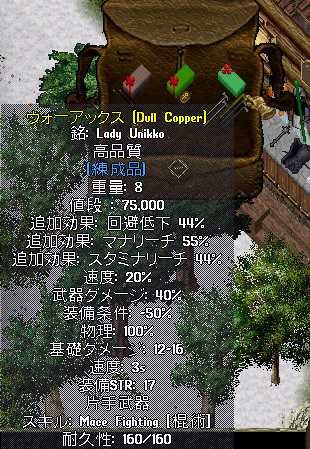 装備の耐久性について_b0402739_21023945.png