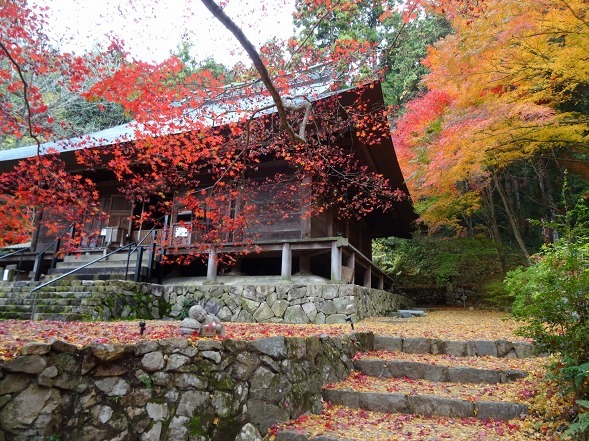 大国寺の紅葉_b0299042_21555444.jpg