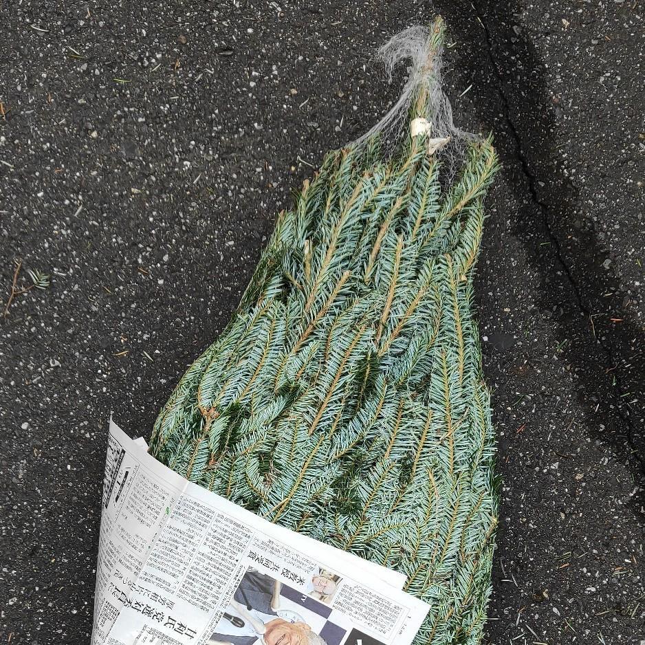 今年もIKEAでもみの木ツリー!_c0060143_10532958.jpg