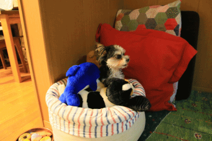 c0145250_08511998.gif