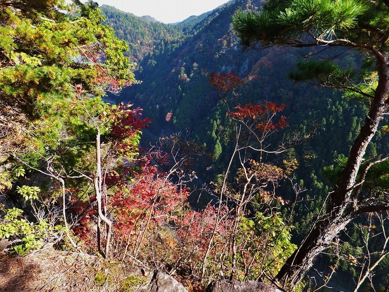 d0048350_20035673.jpg