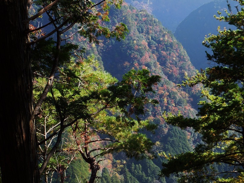 d0048350_20051617.jpg