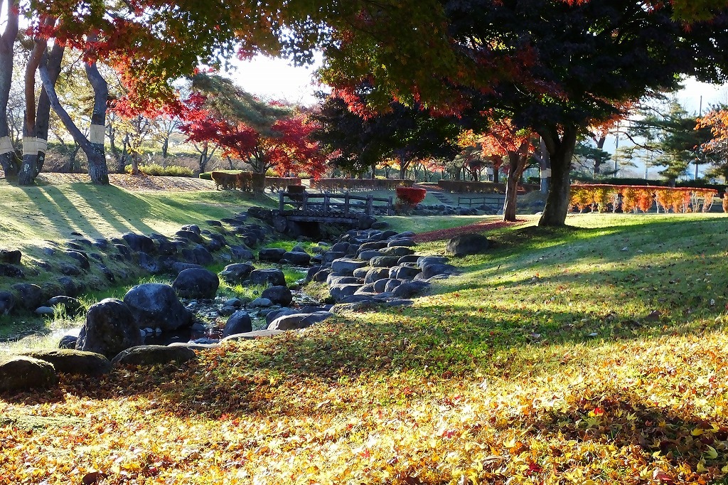 日光市内 丸山公園の紅葉 ぶらり散歩 四季折々フォト日記