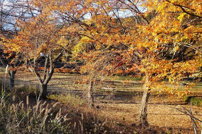 b0236251_14005033.jpg