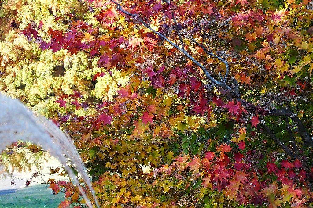 b0236251_14032346.jpg
