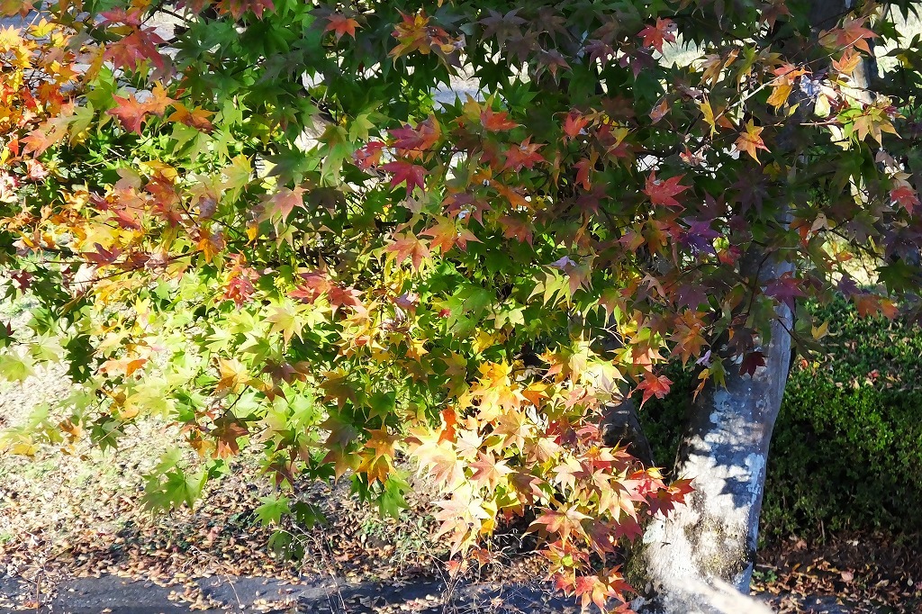 b0236251_14041227.jpg