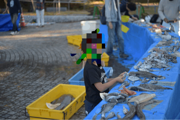 d0154151_20280648.gif