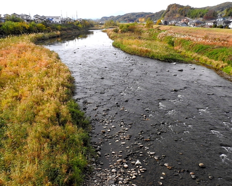 c0305565_17315941.jpg