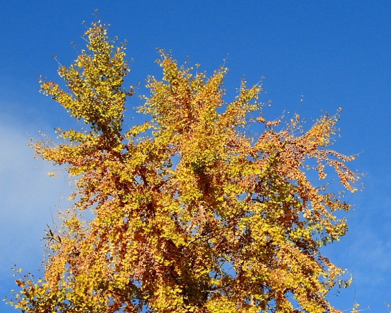 c0305565_17334717.jpg