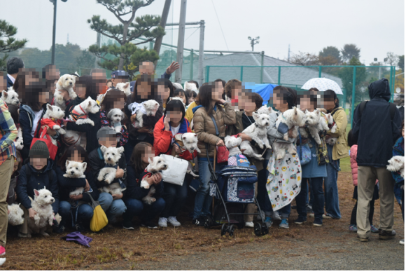 b0242873_02425935.png