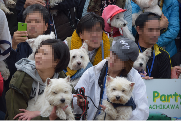 b0242873_02444715.png