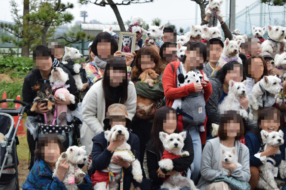 b0242873_02461987.png