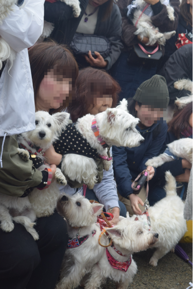 b0242873_02463349.png