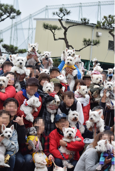 b0242873_02473939.png