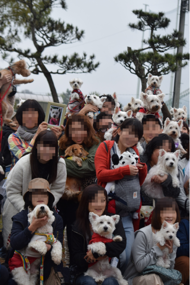 b0242873_02475265.png