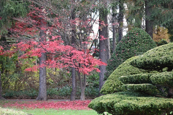f0362073_22555051.jpg