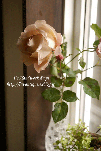 f0330978_11105282.gif