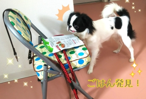 トレーニングブログ_f0357682_22322418.jpg