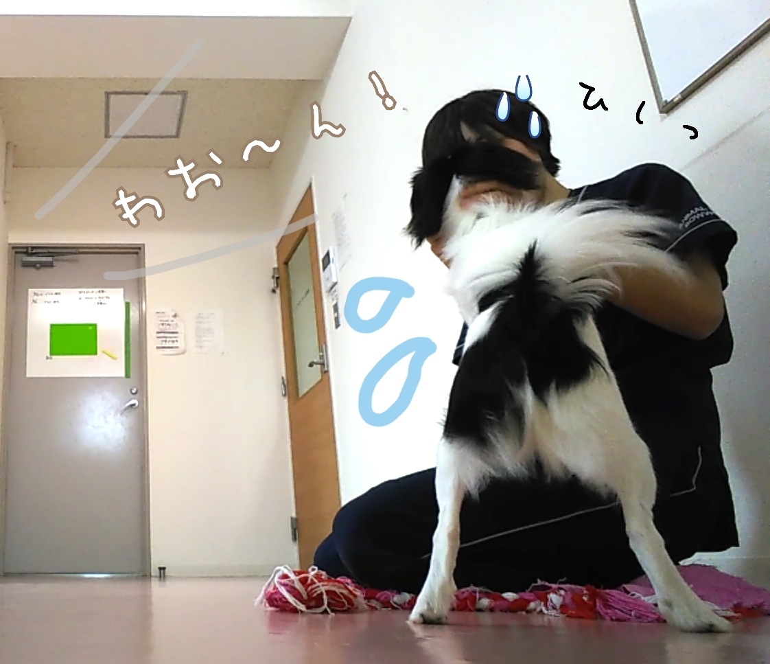 トレーニングブログ_f0357682_22412436.jpg