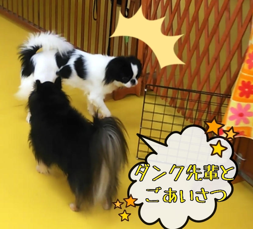 トレーニングブログ_f0357682_22524533.jpg
