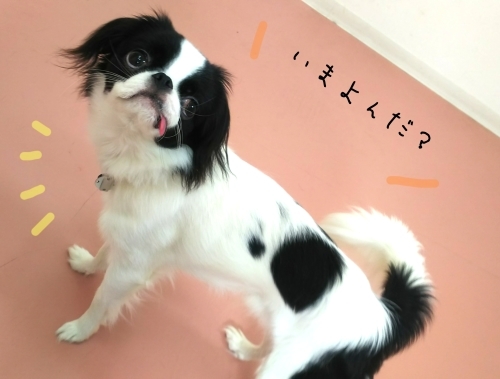 トレーニングブログ_f0357682_22530136.jpg