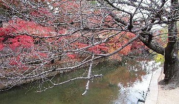 f0003283_20193249.jpg