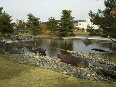 f0017185_21435477.jpg