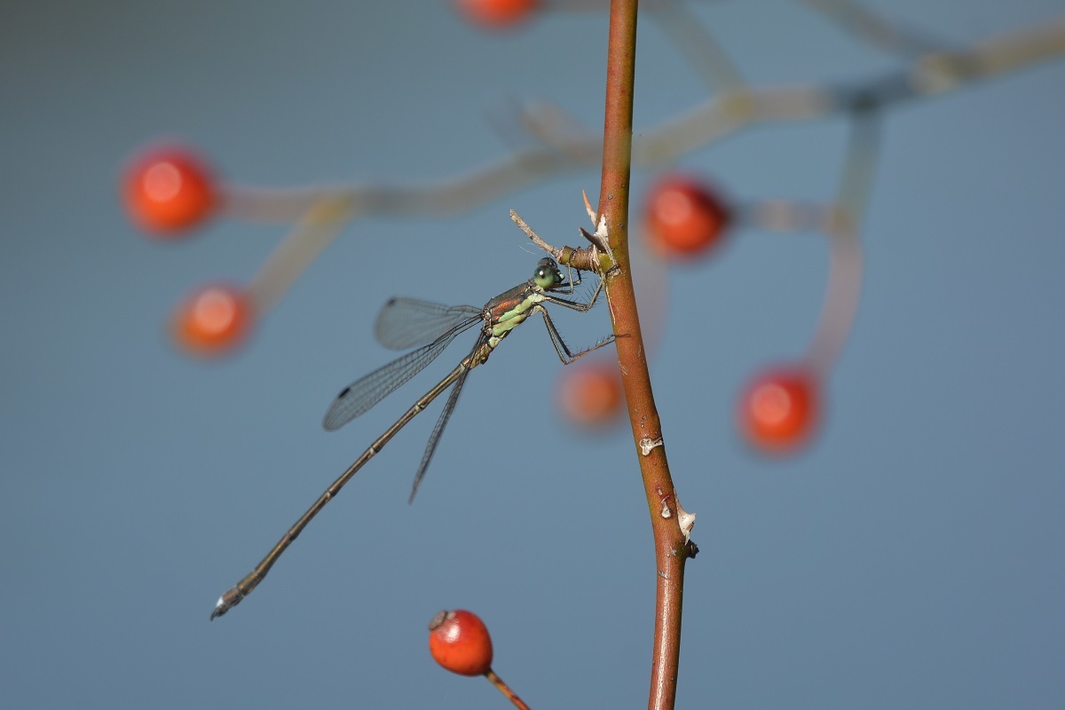 e0353790_21190925.jpg