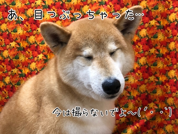 d0269898_14421372.jpeg