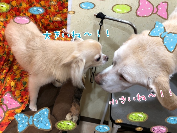 d0269898_14425851.jpeg