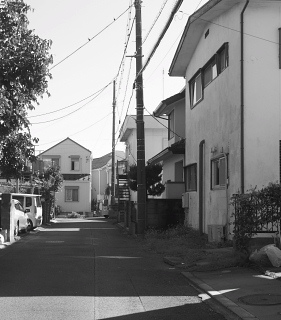 c0039501_11213353.jpg