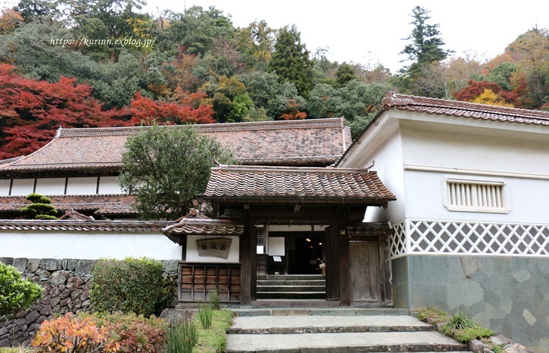 紅葉をめぐる 奥津和野 堀庭園 Miyorinの秘密のお庭