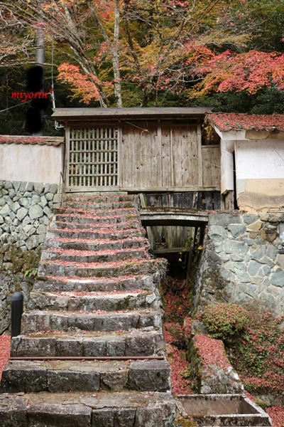 a0123003_09225761.jpg