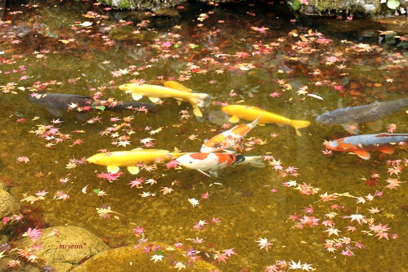 a0123003_09312075.jpg
