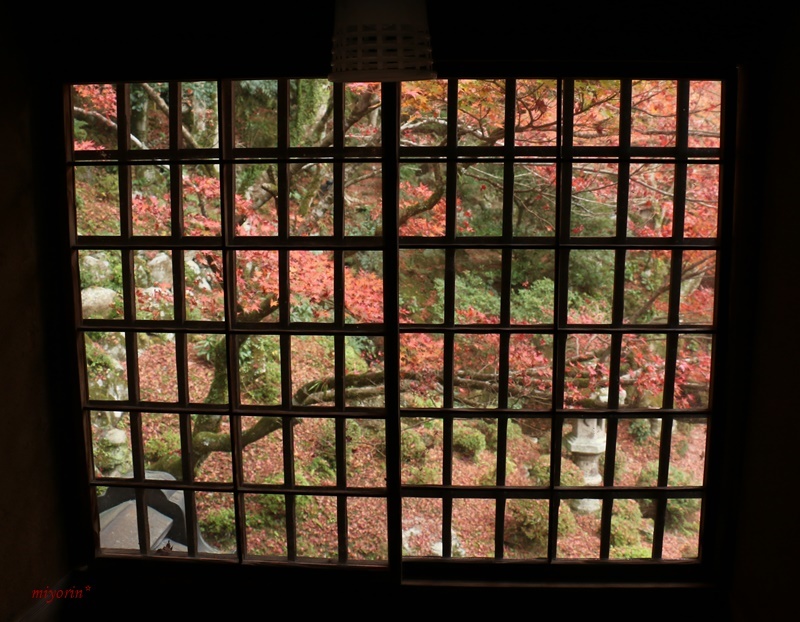a0123003_09420676.jpg