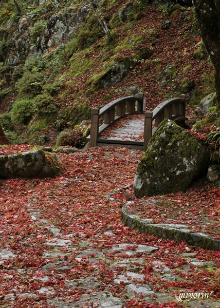 a0123003_10074215.jpg