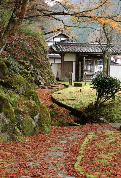 a0123003_10080660.jpg