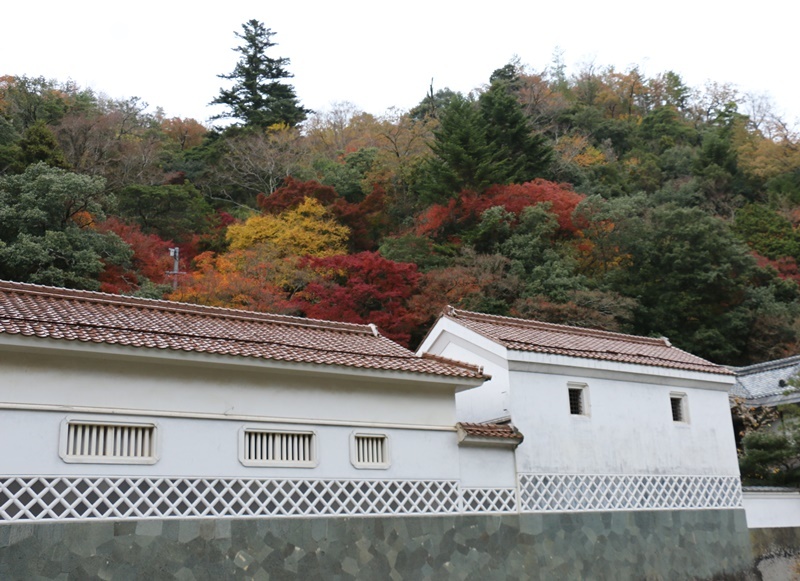 a0123003_10250385.jpg