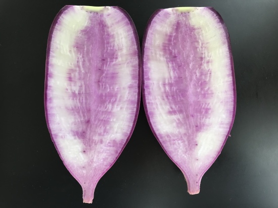 紫大根のレモン甘酢漬け ぼっちオバサン食堂