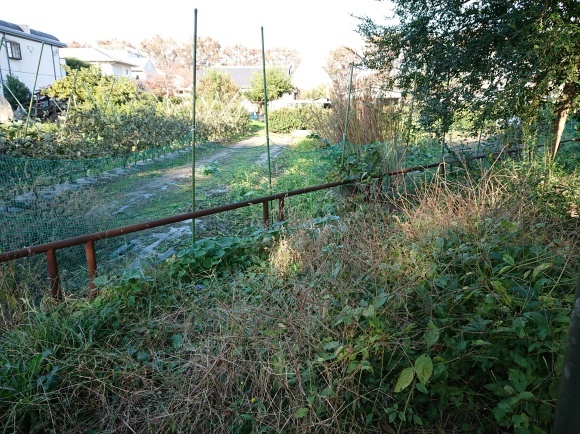 11/21 国鉄武蔵野競技場線廃線跡を歩く@三鷹市、武蔵野市_b0042308_07053145.jpg