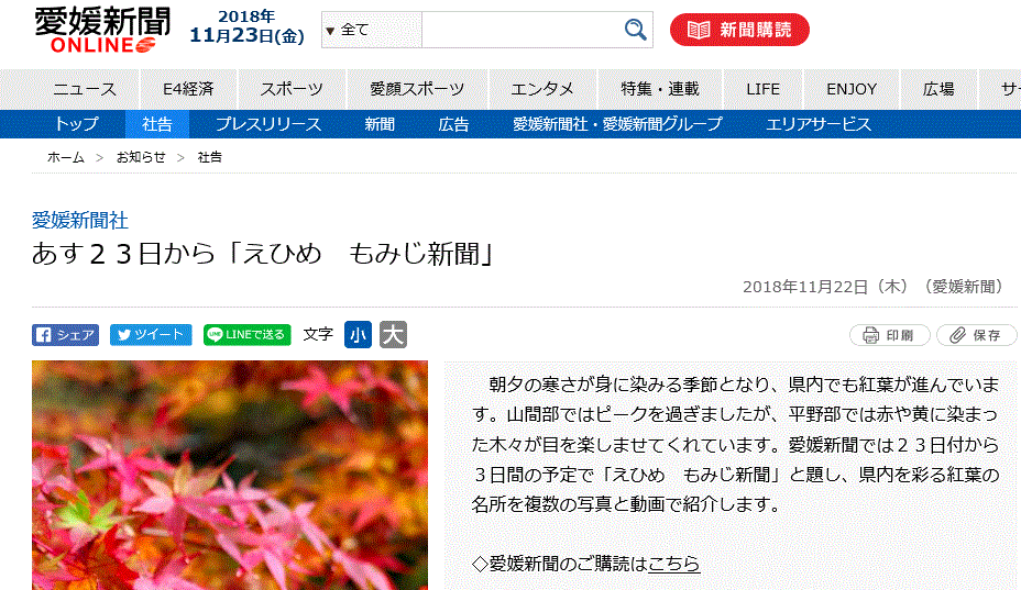 f0231709_10343103.gif