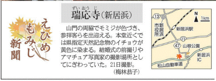 f0231709_10390342.gif