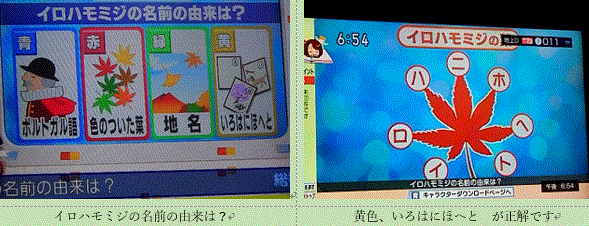 f0231709_11024486.gif